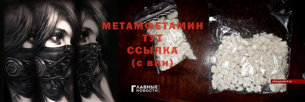 прущие грибы Надым