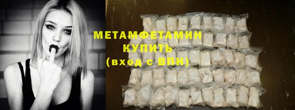 прущие грибы Надым