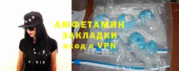 прущие грибы Надым
