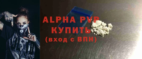 СК Новодвинск