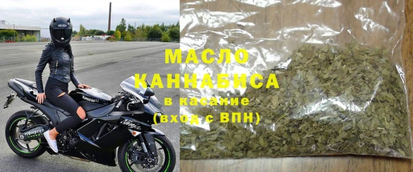прущие грибы Надым