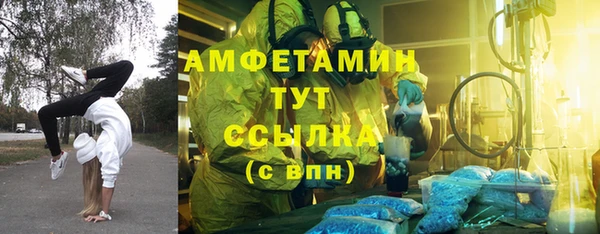 твердый Почеп