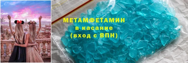 прущие грибы Надым