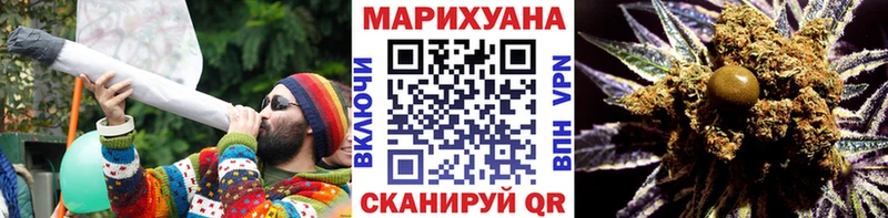 Конопля гибрид  Суровикино 